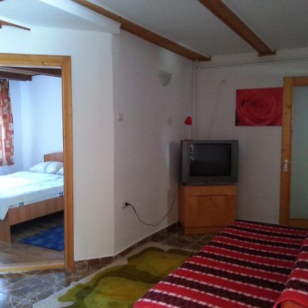 Casa Trandafirilor Hotell Cîrţişoara Eksteriør bilde