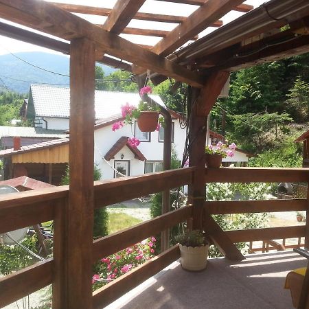 Casa Trandafirilor Hotell Cîrţişoara Eksteriør bilde