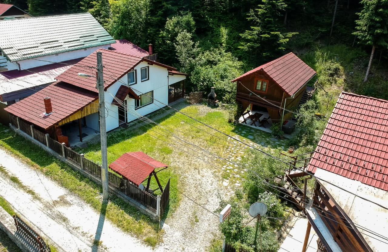 Casa Trandafirilor Hotell Cîrţişoara Eksteriør bilde