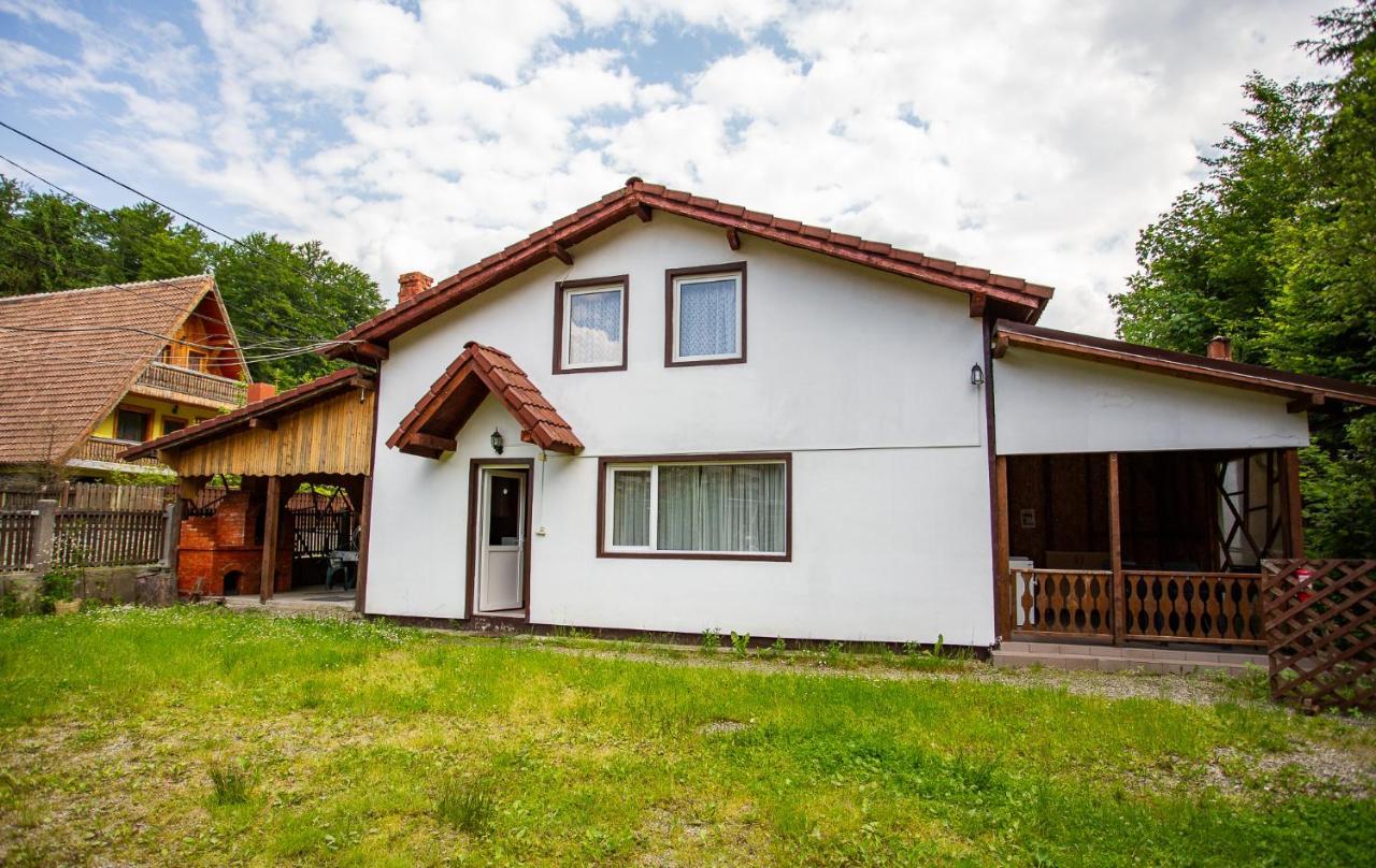 Casa Trandafirilor Hotell Cîrţişoara Eksteriør bilde