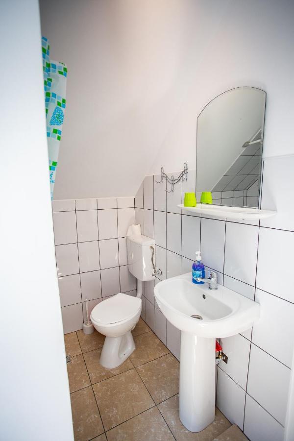Casa Trandafirilor Hotell Cîrţişoara Eksteriør bilde