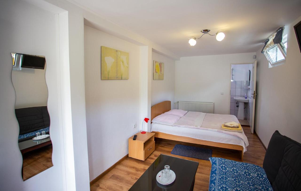 Casa Trandafirilor Hotell Cîrţişoara Eksteriør bilde