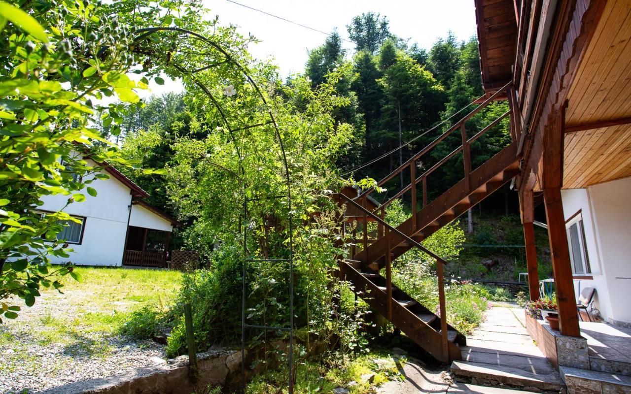 Casa Trandafirilor Hotell Cîrţişoara Eksteriør bilde
