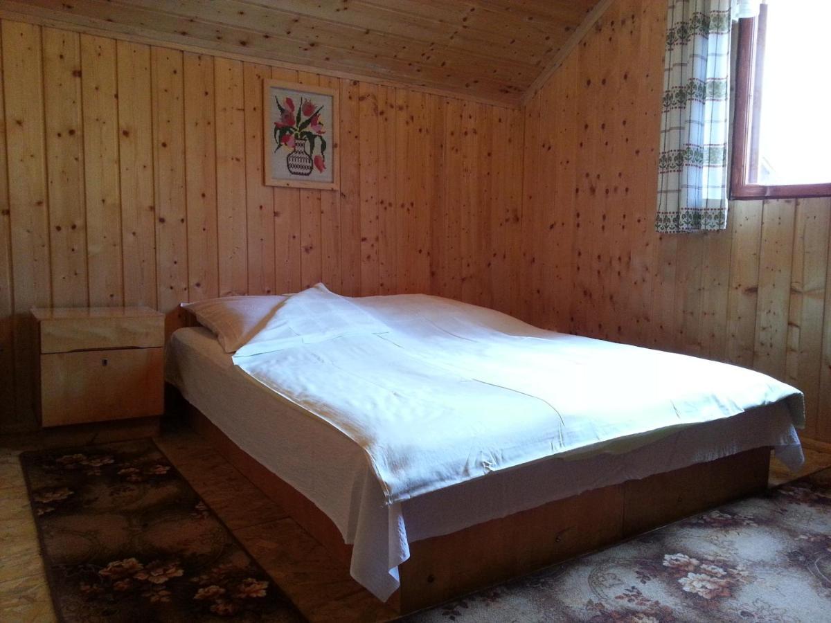 Casa Trandafirilor Hotell Cîrţişoara Eksteriør bilde