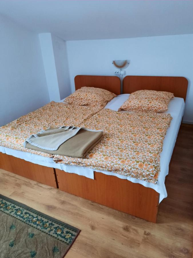 Casa Trandafirilor Hotell Cîrţişoara Eksteriør bilde
