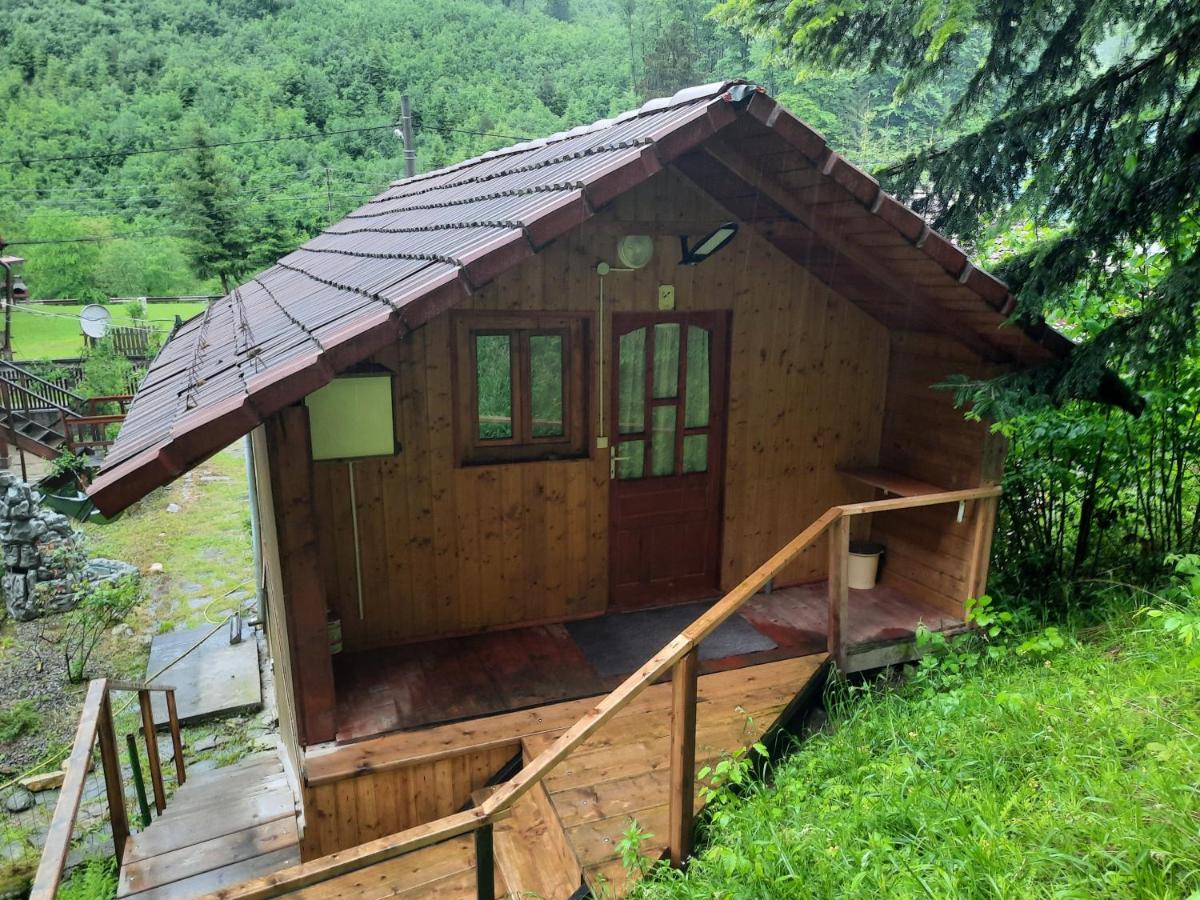 Casa Trandafirilor Hotell Cîrţişoara Eksteriør bilde