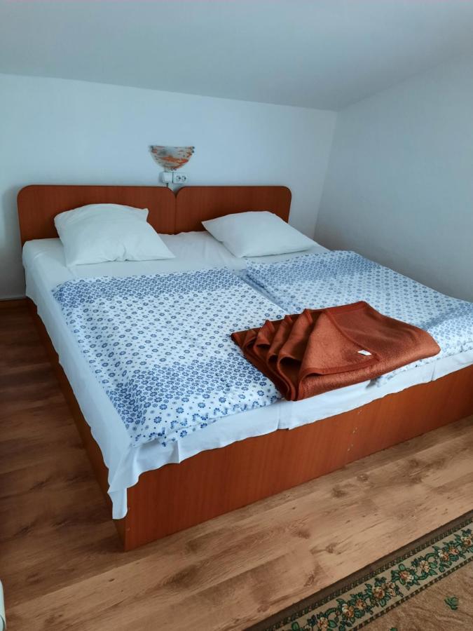Casa Trandafirilor Hotell Cîrţişoara Eksteriør bilde