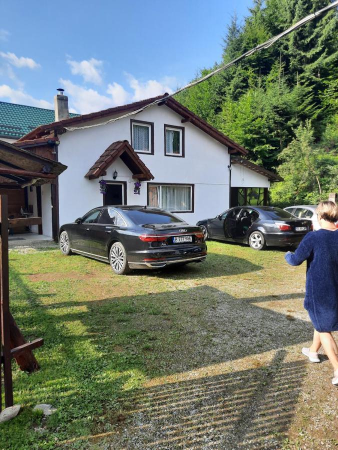 Casa Trandafirilor Hotell Cîrţişoara Eksteriør bilde