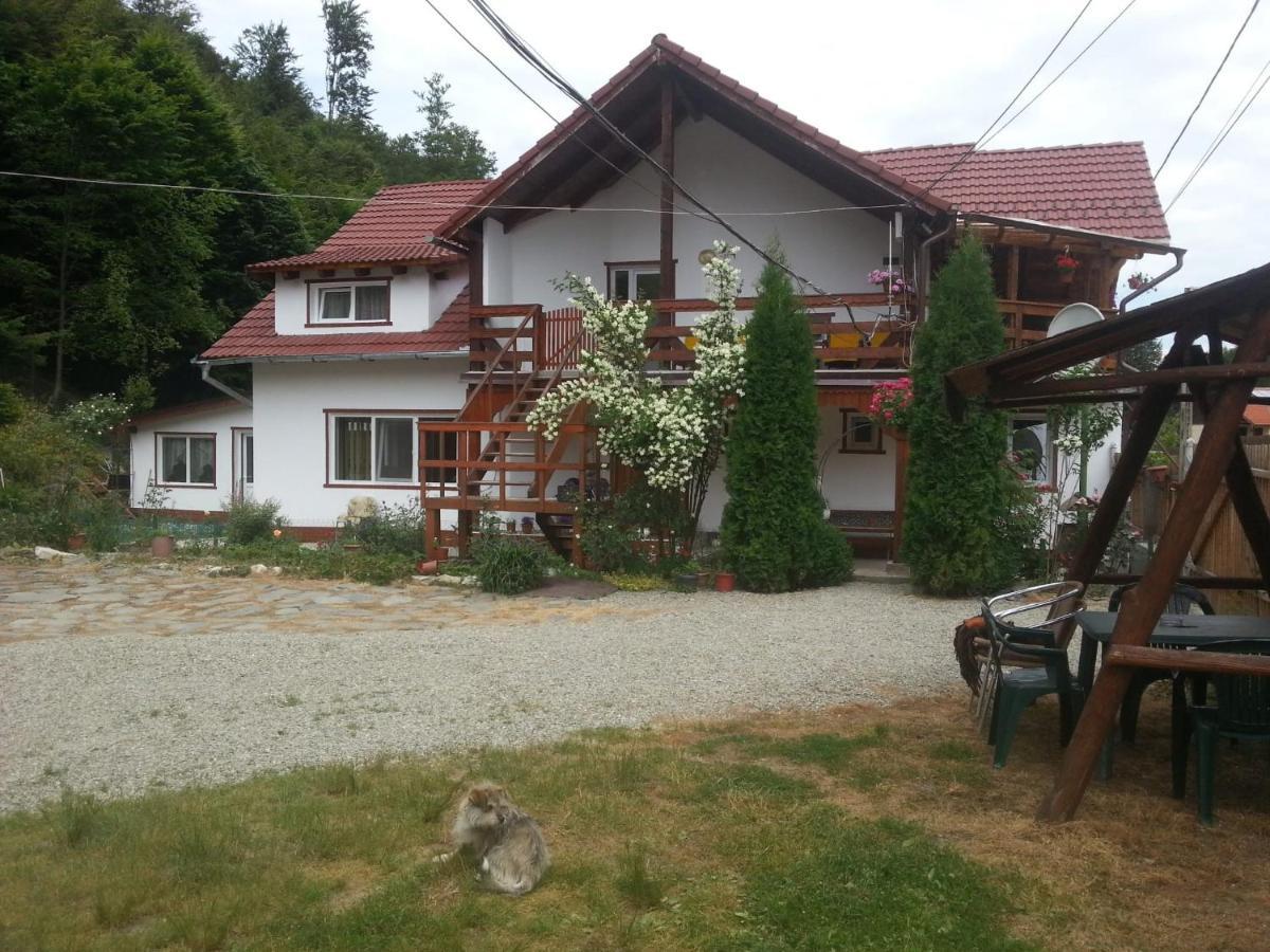 Casa Trandafirilor Hotell Cîrţişoara Eksteriør bilde