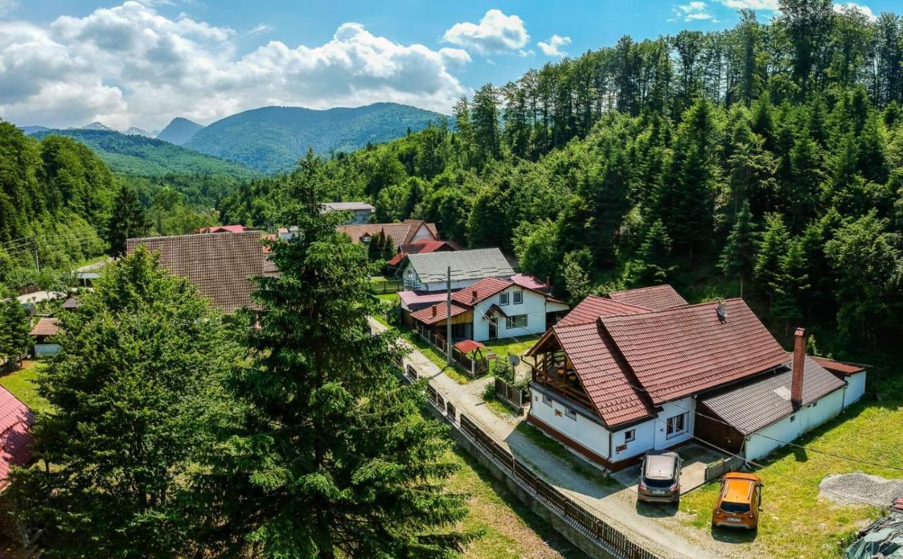 Casa Trandafirilor Hotell Cîrţişoara Eksteriør bilde