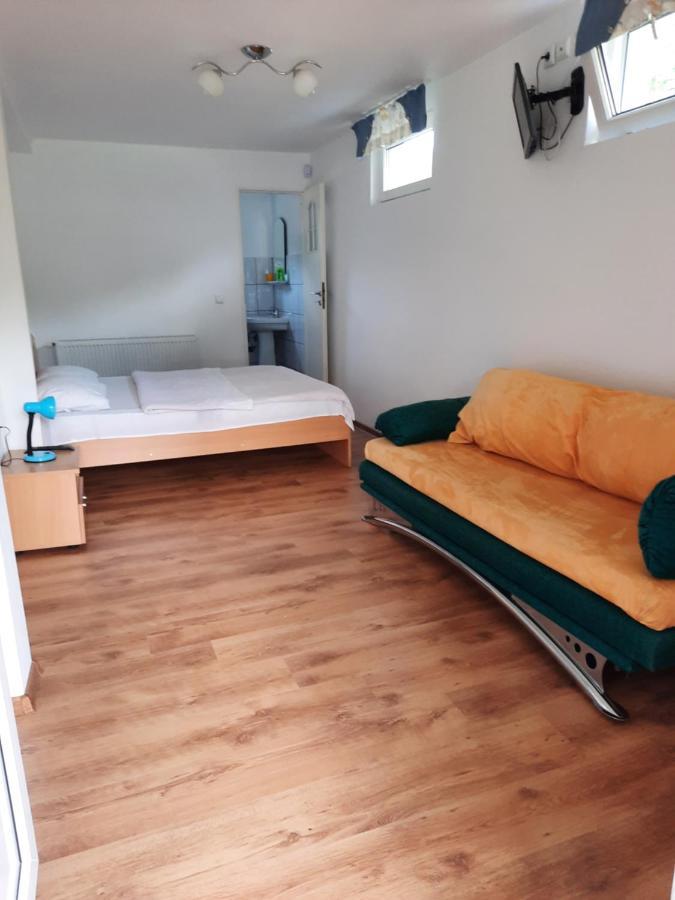 Casa Trandafirilor Hotell Cîrţişoara Rom bilde