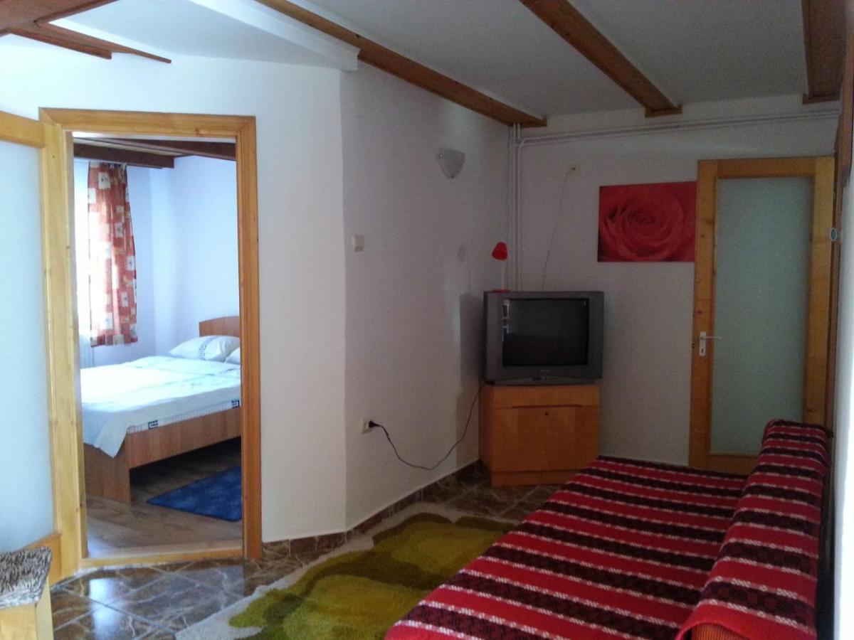 Casa Trandafirilor Hotell Cîrţişoara Eksteriør bilde