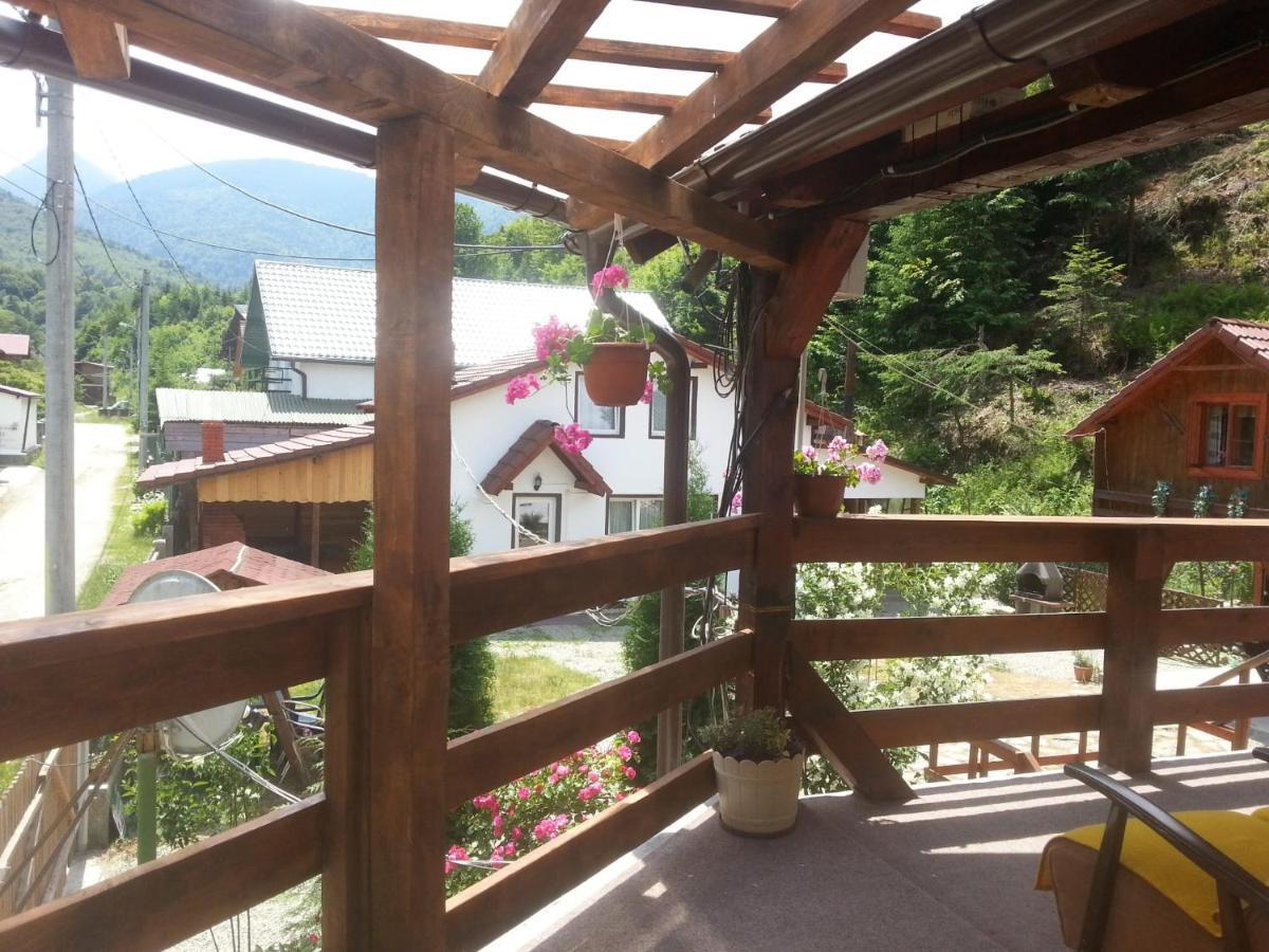 Casa Trandafirilor Hotell Cîrţişoara Eksteriør bilde